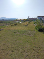 IMG_20220504_161859.jpg