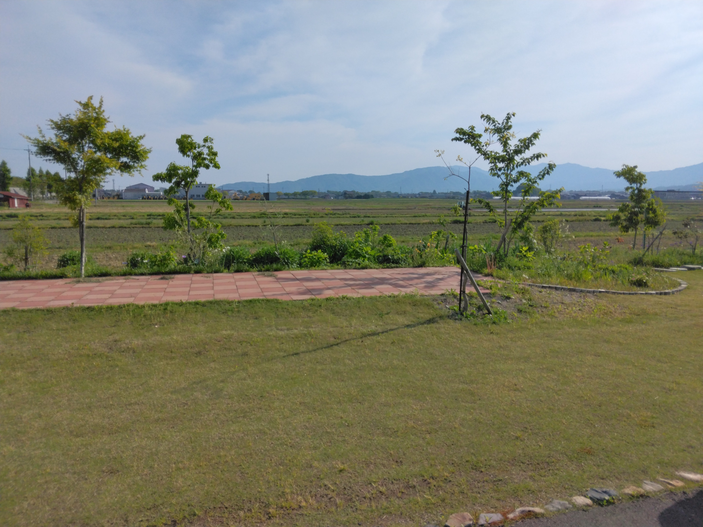 庭