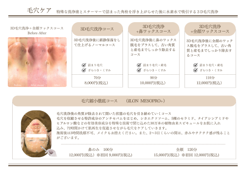MENU毛穴ケア.png
