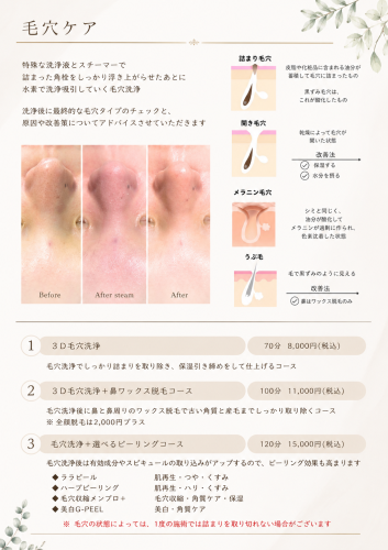毛穴ケアMENU.png