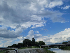 LINE_ALBUM_HP掲載用_240403_13.jpg