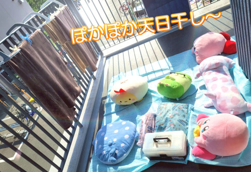tenpiboshi0520.jpg