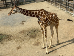 LINE_ALBUM_20251114動物園！_251117_3.jpg