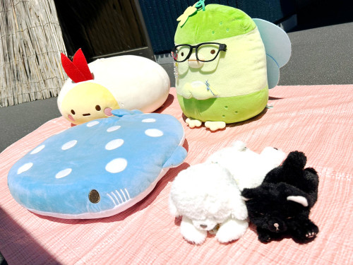 イラスト4.jpg