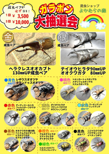 茶　赤　ベージュ　カフェ　飲食店　ランチ　メニュー.jpg