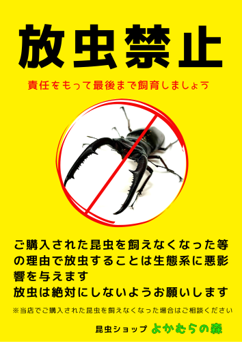 青　空の写真　プロジェクトの宣伝　ポスター（A3縦）.png