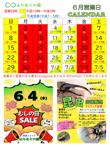 営業日カレンダー (1).jpg