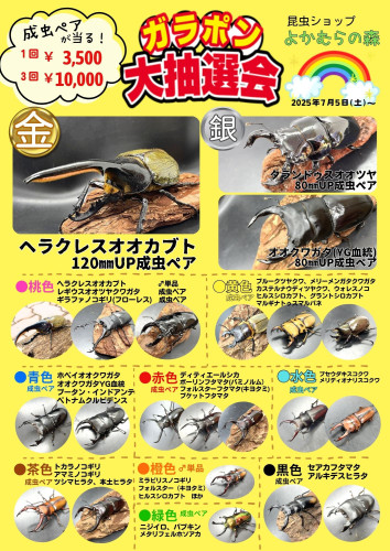 茶　赤　ベージュ　カフェ　飲食店　ランチ　メニュー (1).jpg