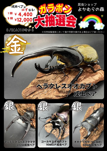 garapon.jpg