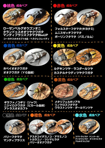 garapon2.jpg