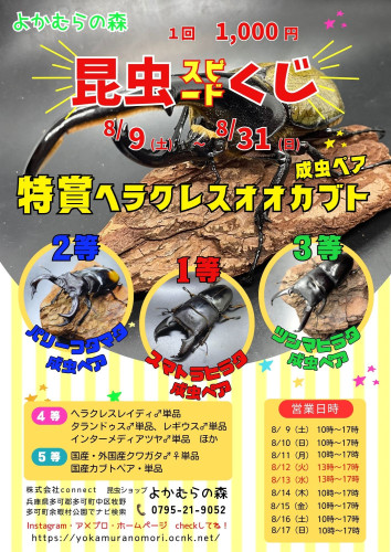 青　ベージュ　楽しい　キャンプ場のチラシ(A4縦) (1).jpg