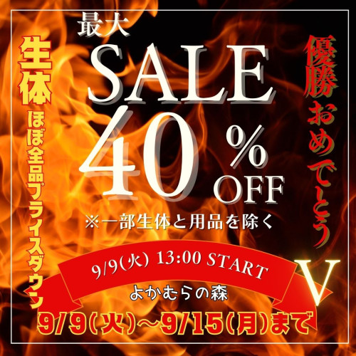 水色 綺麗 海 夏 sale 告知 Instagram 投稿 バナー 正方形.jpg