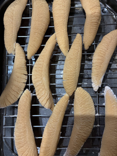 年末恒例数の子の燻製