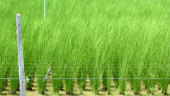 75AAF98F-EDBB-4952-BF58-9C4B8955FBA8.jpeg