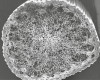 EEB34971-2D81-4697-BBCE-AE824845B445.jpeg