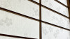 4677BD07-084C-48E1-898F-74DAAD9BE6C3.jpeg