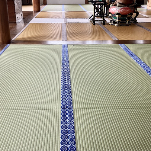 B5150545-9DC3-400B-8EC5-465077466348.jpeg
