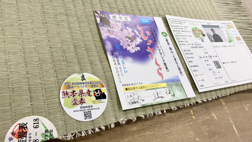 熊本産ＪＡブランド高級表ひのさくら