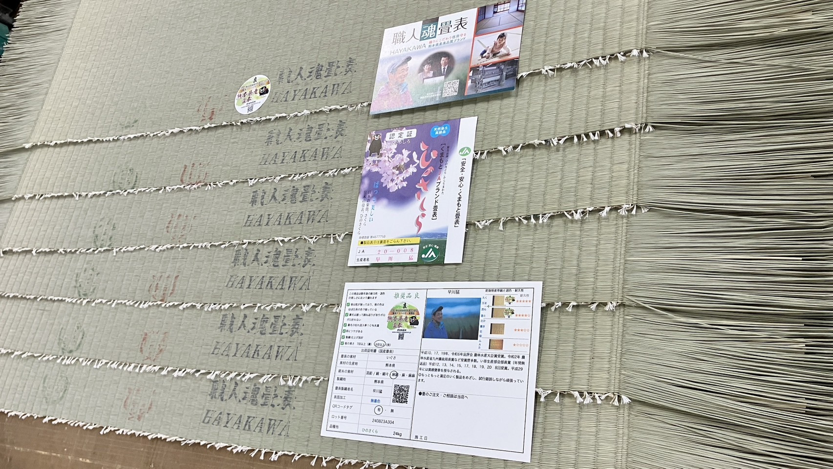 自社熟成庫で完璧に仕上がったレジェンド早川猛氏の顔写真付き品質証明書とブランド証紙マークが並ぶ熊本県産職人魂畳表ひのさくらの写真｜佐藤畳工業
