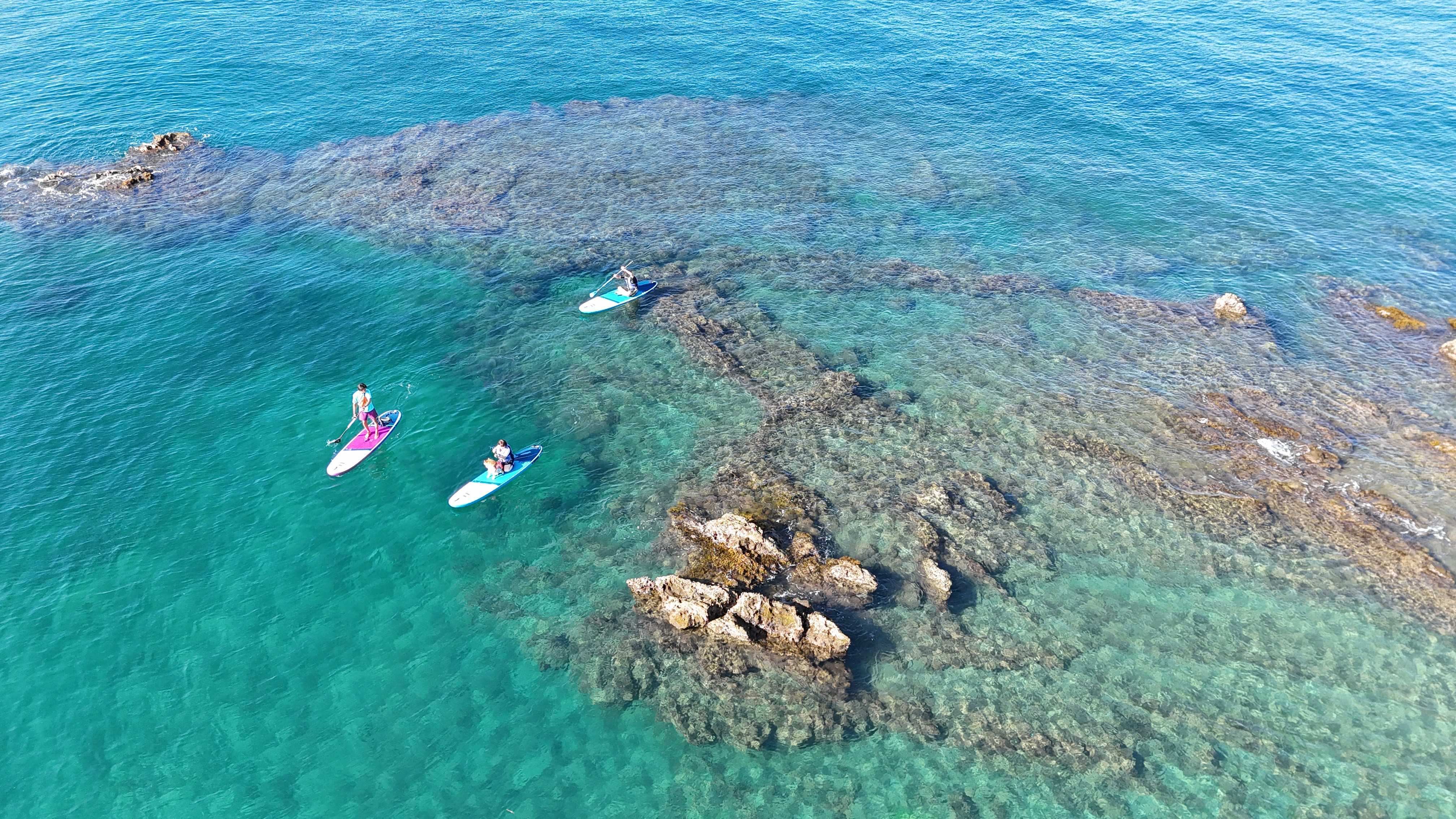 dji_fly_20250719_072540_0011_1752879105011_photo.jpeg