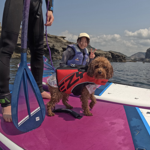 南房総 DOG SUP 犬用ライフジャケットレンタルあり 勝山海岸