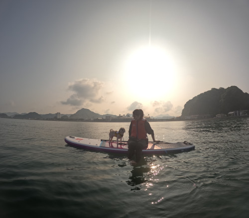 GPTempDownload 31.jpeg