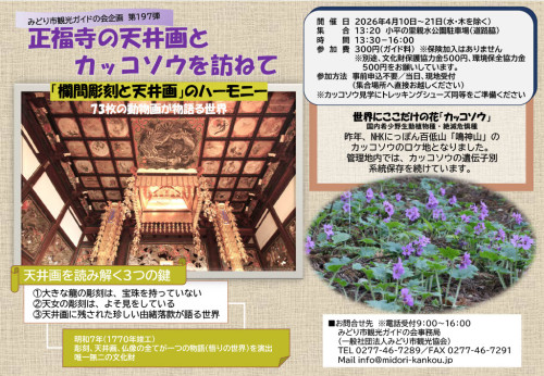 2026年 正福寺の天井画とカッコソウを訪ねて.jpg