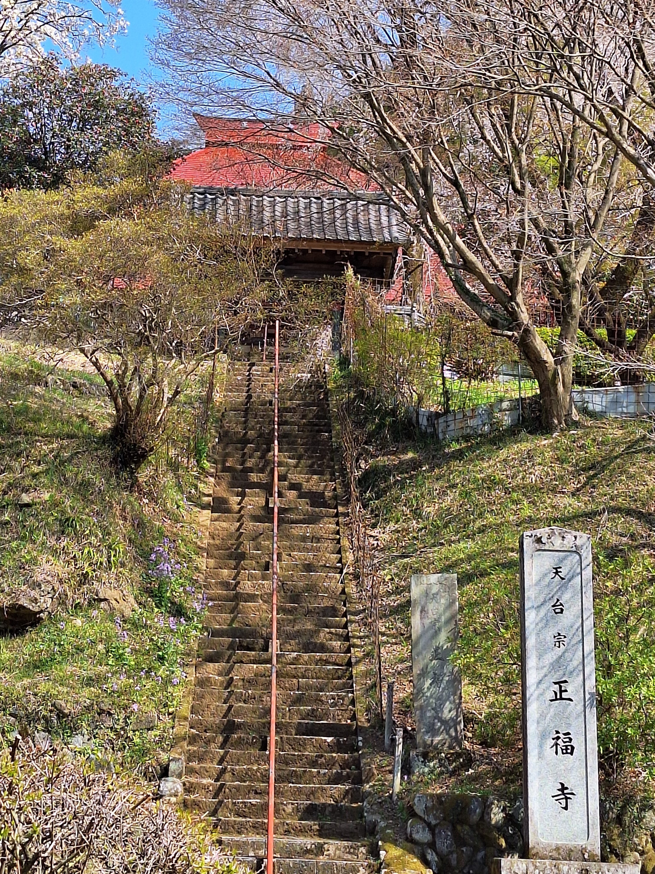 正福寺の天井画とカッコソウを訪ねて　〜 『欄間彫刻と天井画』のハーモニー  〜