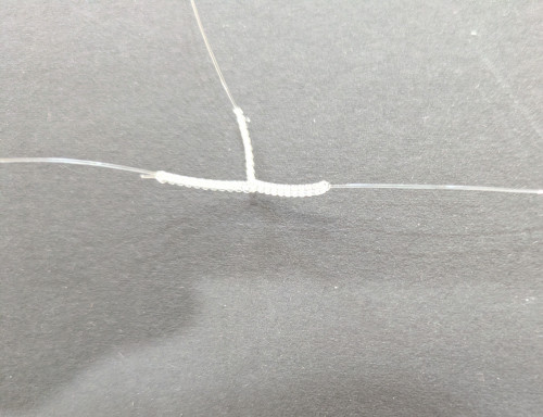 PXL_20260504_044352570.jpg