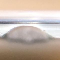 IMG_2405.jpeg