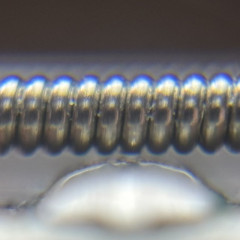 IMG_4499.jpeg
