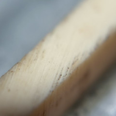 IMG_4973.jpeg