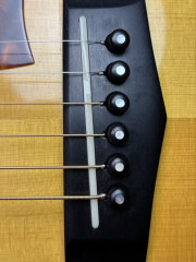 IMG_5366.jpeg