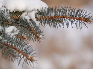 年末年始休業のお知らせ