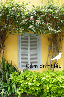 ベトナム中部　ホイアン名物カオラウ麺　ホワイトローズ　など