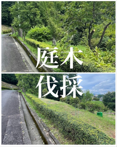 庭木伐採 中津川市