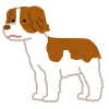 dog_brittany_spaniel.png