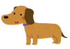 dog_miniature_dachshund.png