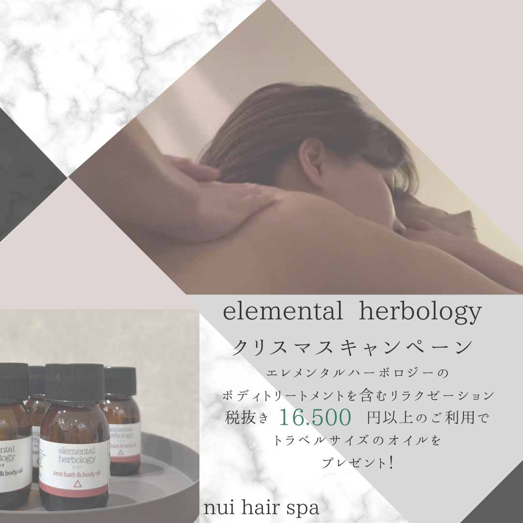 クリスマスキャンペーンのお知らせです🎄