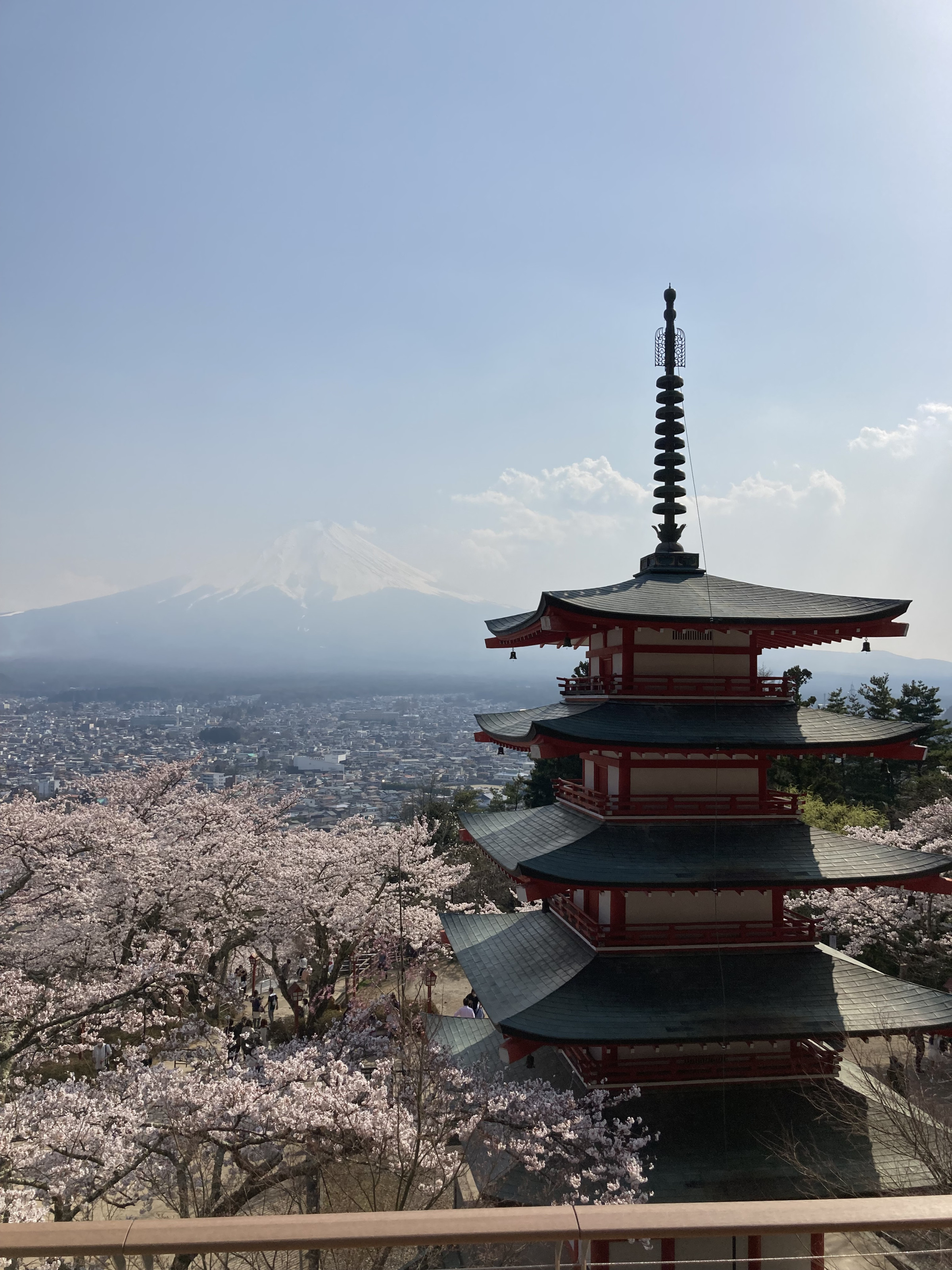 Fujiyama,Sakura,ChureitoPagoda