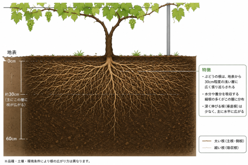 file_000000005484820c89967ed7a1541b52.png