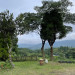 IMG_1260.jpeg