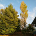c0176551_18353469.jpg