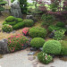 庭園(1).JPG
