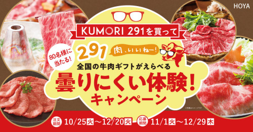 hoya_22_kumori291_画像データ.jpg