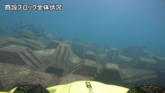 日和佐藻場水中ドローン撮影(GOPRO)_Moment(3).jpg