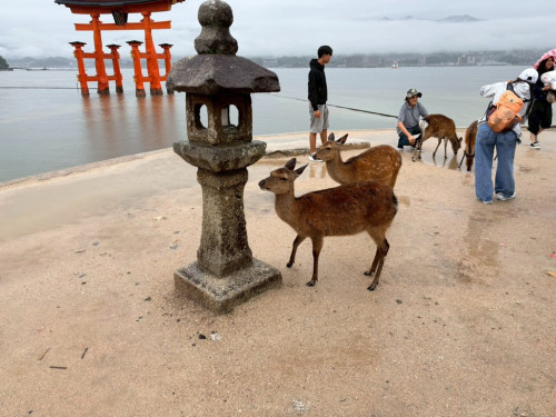 LINE_ALBUM_慰安旅行 in広島_260701_2 (中).jpg