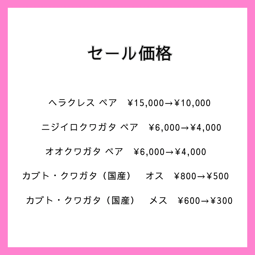 夏休みセールについて