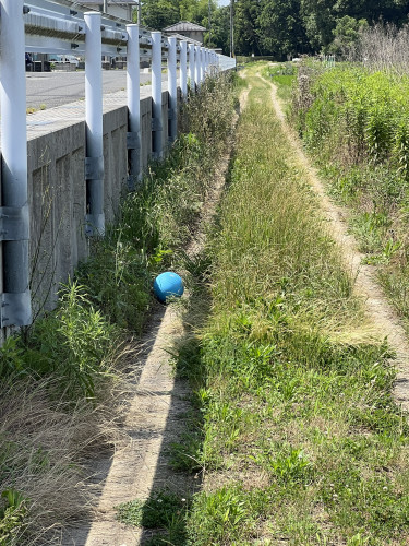 【重要なお知らせ/警告】農道や圃場（田畑）にポイ捨てなどによる不法投棄に関する注意