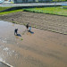 DJI_0094.JPG